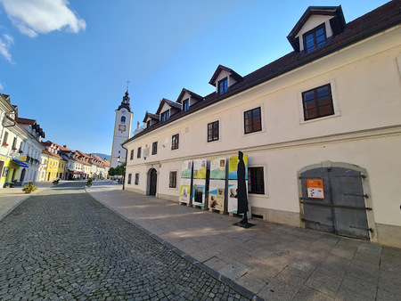 DAN ODPRTIH VRAT ROJSTNE HIŠE RUDOLFA MAISTRA